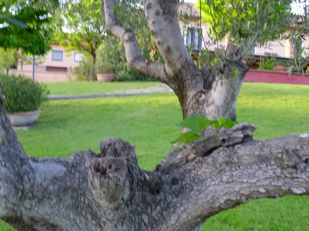 Guest house Luxardotel Rome